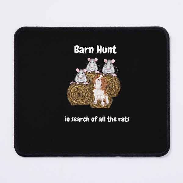 Item preview, Funny Barn Hunt - in search of all the rats with a brown & white cavalier king charles spaniel dog designed and sold by Just4doglovers.