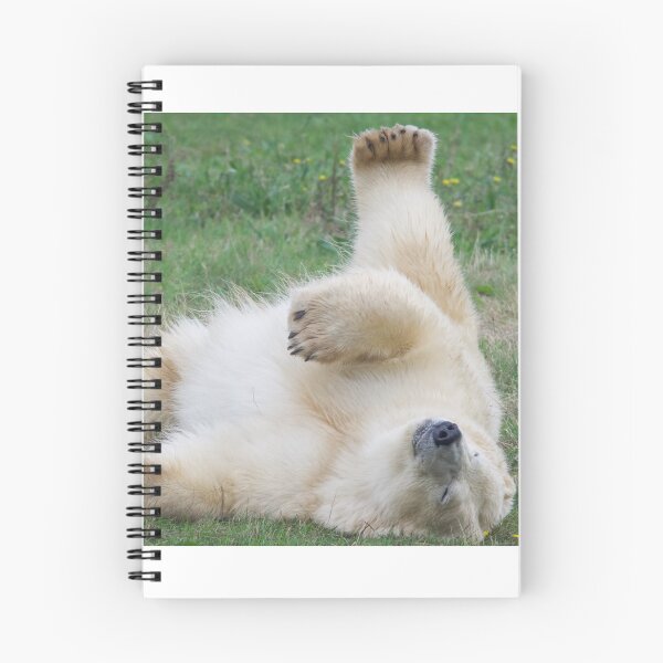 Item preview, Polar Bear Lounging About designed and sold by LFPPhotography.