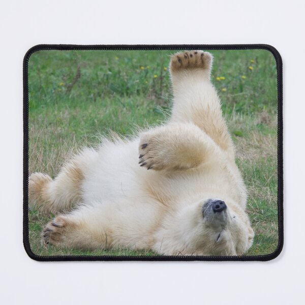 Item preview, Polar Bear Lounging About designed and sold by LFPPhotography.