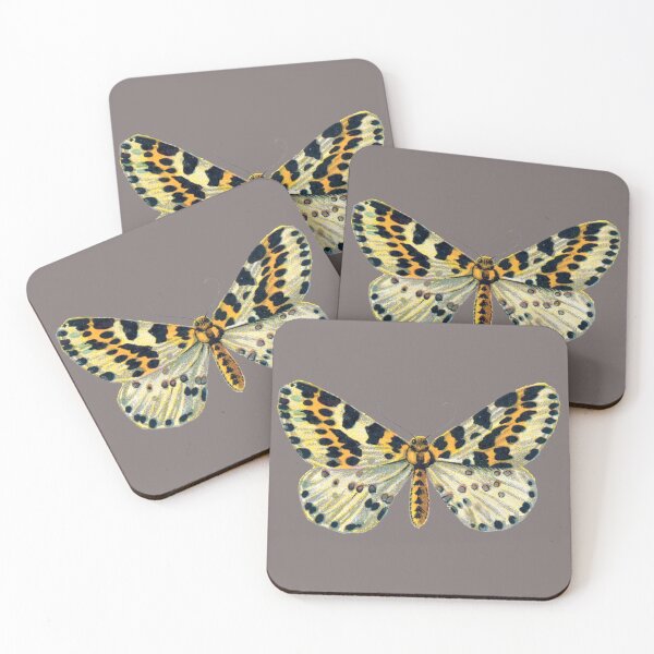 Item preview, Copy of Magpie Moth Abraxas Grossulariata Vintage Moths and Huge Butterflies designed and sold by kattakitty.