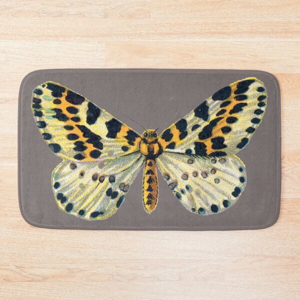Item preview, Copy of Magpie Moth Abraxas Grossulariata Vintage Moths and Huge Butterflies designed and sold by kattakitty.
