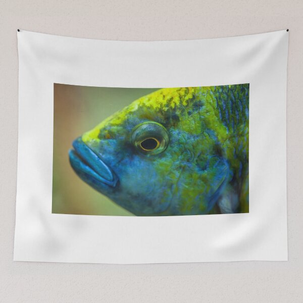 Item preview, Cichlid Fish designed and sold by evenflow.