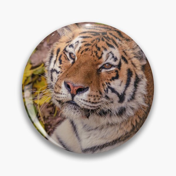 Item preview, Tiger designed and sold by ReljaX.