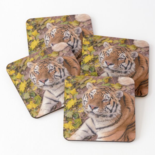 Item preview, Tiger designed and sold by ReljaX.