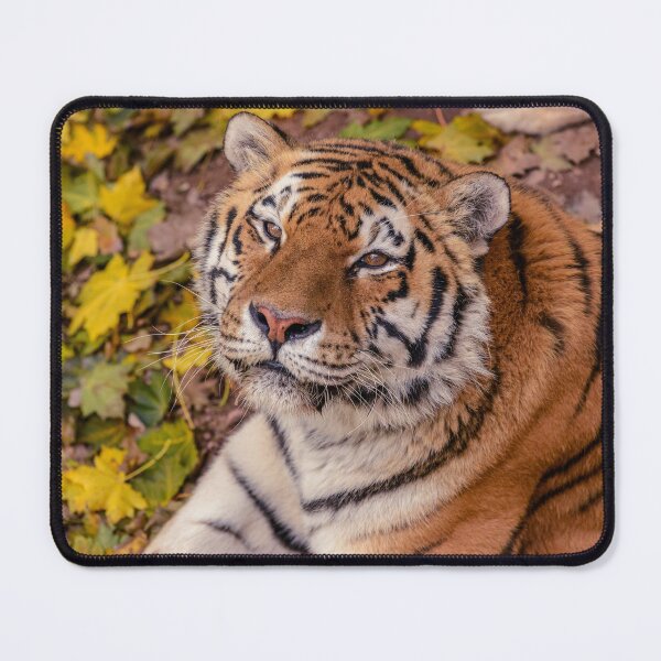 Item preview, Tiger designed and sold by ReljaX.