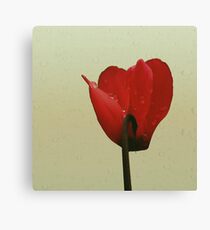 In red Canvas Print