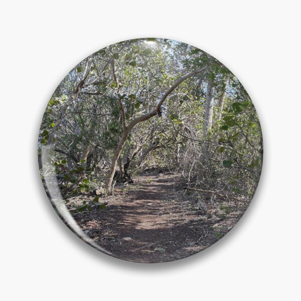 Artikelvorschau, Wandern Sie durch Florida im Robinson Preserve entworfen und verkauft von Sparkleweather.
