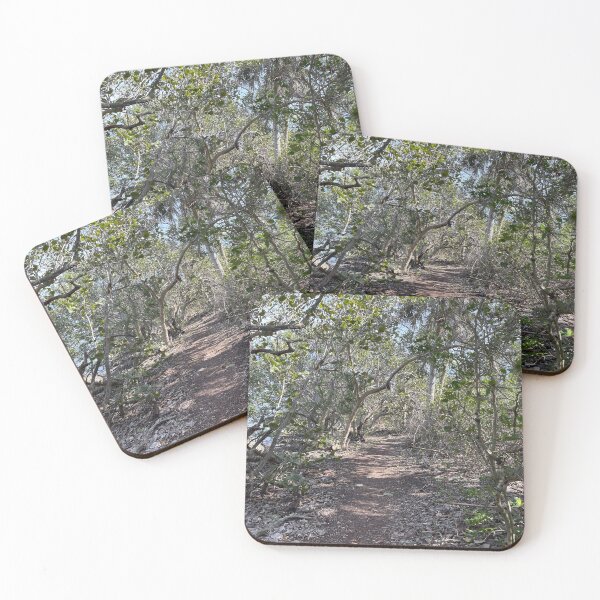 Item preview, Hiking Florida at Robinson Preserve designed and sold by Sparkleweather.
