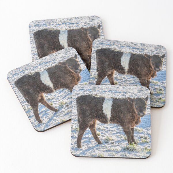 Item preview, Belted Galloway Calf in Snow designed and sold by derekbeattie.