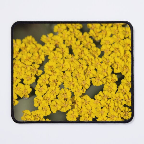 Item preview, achillea designed and sold by codaimages.