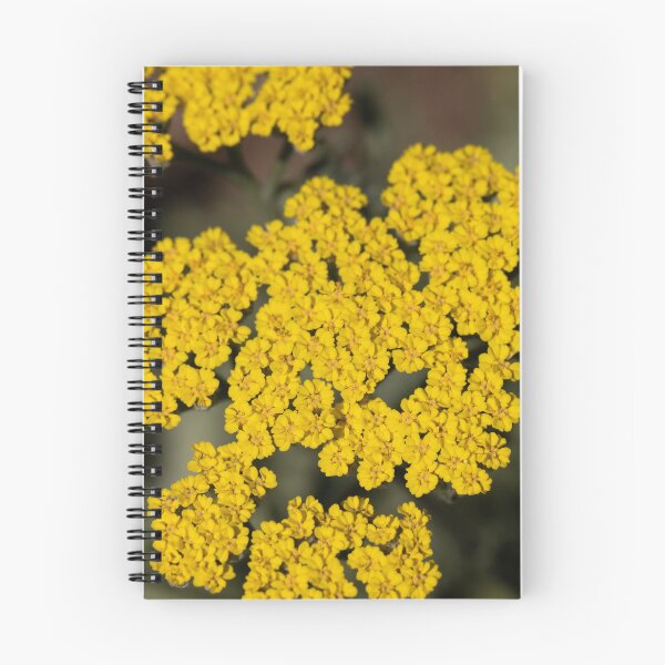 Item preview, achillea designed and sold by codaimages.