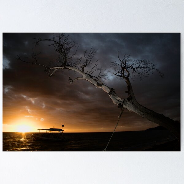 Aperçu de l'œuvre Sunset back at the hotel, Isle des Pins, New Caledonia créée et vendue par Roger Barnes.