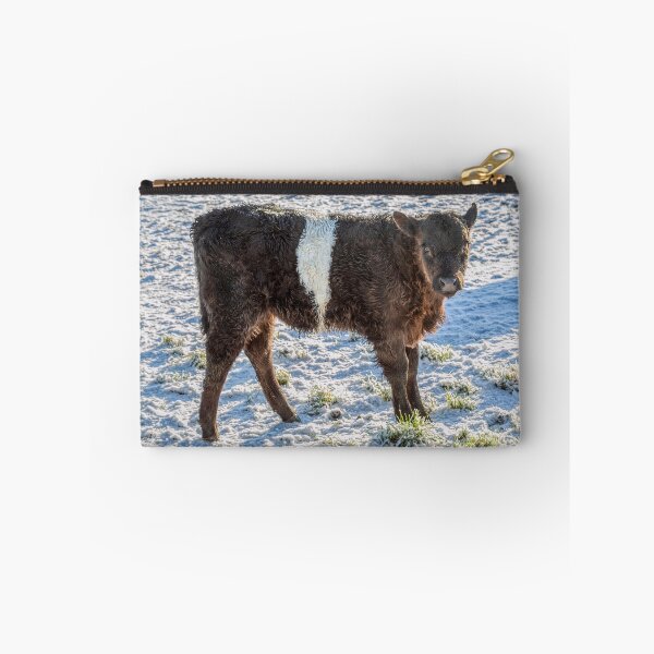 Item preview, Belted Galloway Calf in Snow designed and sold by derekbeattie.