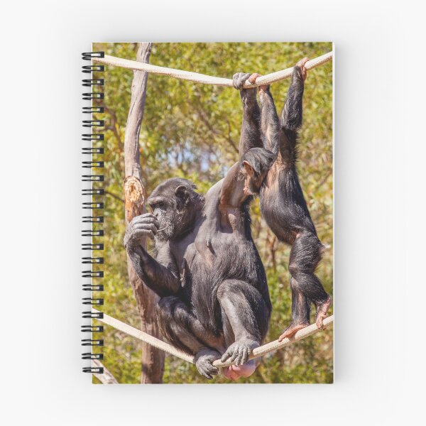 Item preview, Chimpanzees designed and sold by evenflow.