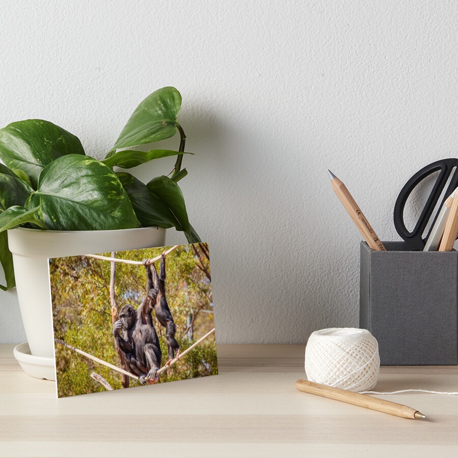 Item preview, Art Board Print designed and sold by evenflow.
