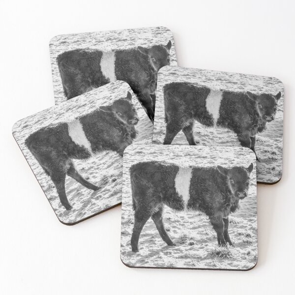 Item preview, Belted Galloway Calf in Snow designed and sold by derekbeattie.