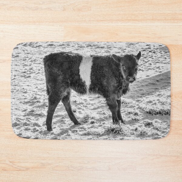 Item preview, Belted Galloway Calf in Snow designed and sold by derekbeattie.