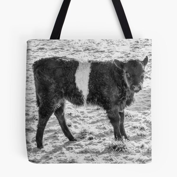 Item preview, Belted Galloway Calf in Snow designed and sold by derekbeattie.