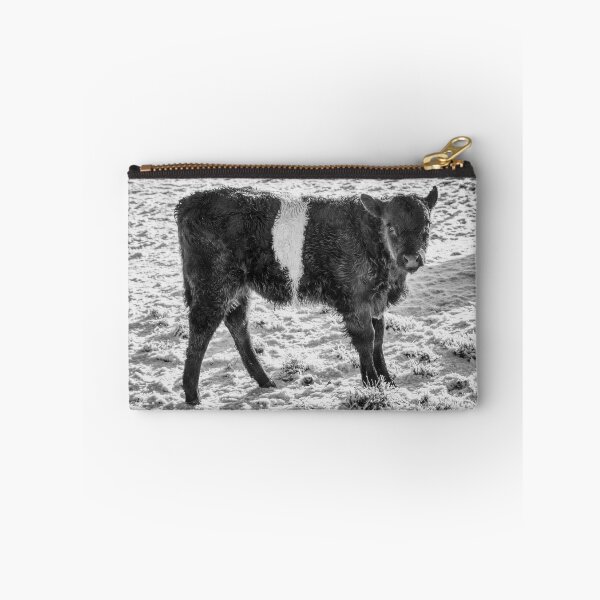Item preview, Belted Galloway Calf in Snow designed and sold by derekbeattie.