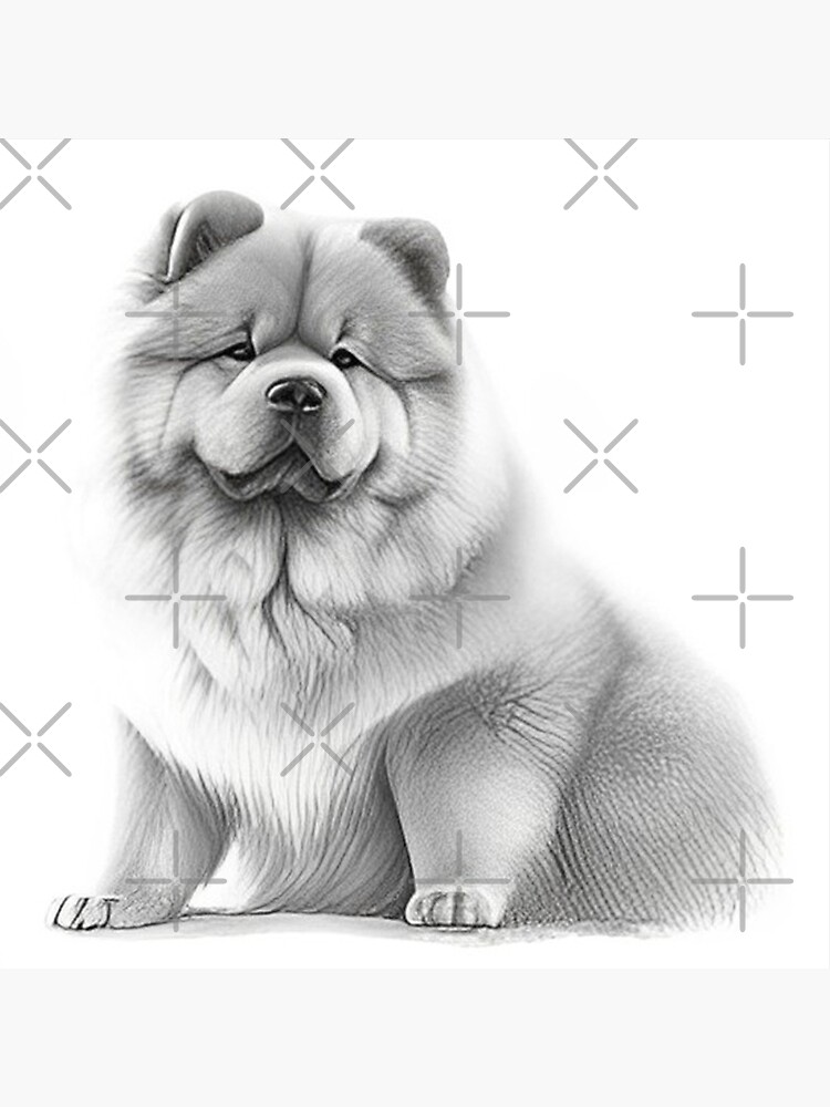 easy-drawing-ideas-black-and-white-pencil-sketch-of-a-cute-puppy-white-background