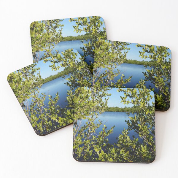 Item preview, Looking through the mangroves at Robinson Preserve designed and sold by Sparkleweather.