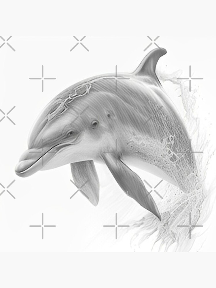 Black and white Dolphin pencil drawing Poster for Sale by Pencil-Art