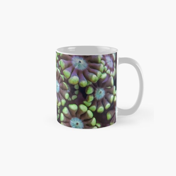 Alveopora coral Classic Mug