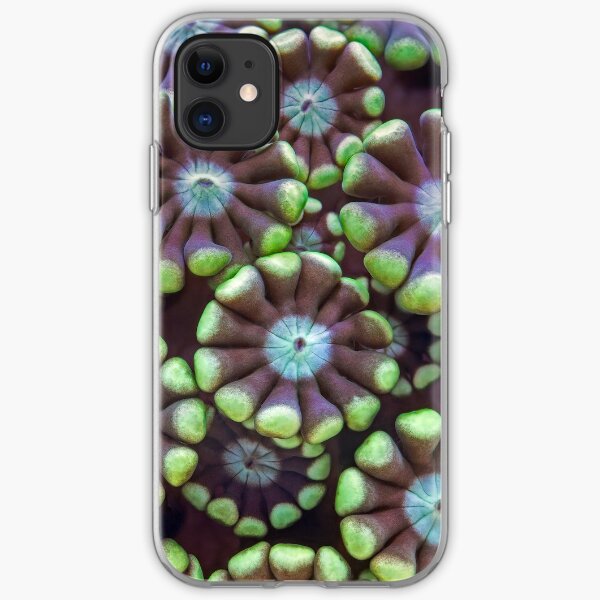 Alveopora coral iPhone Soft Case