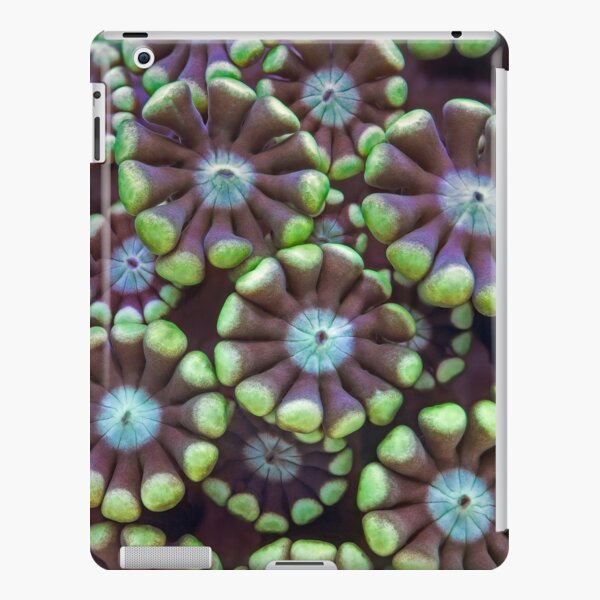 Alveopora coral iPad Snap Case