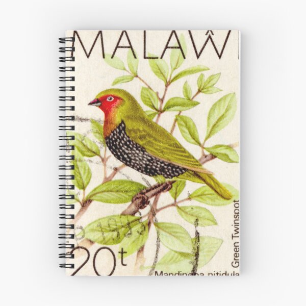 Aperçu de l'œuvre Timbre-poste Twinspot vert du Malawi créée et vendue par StampLand.