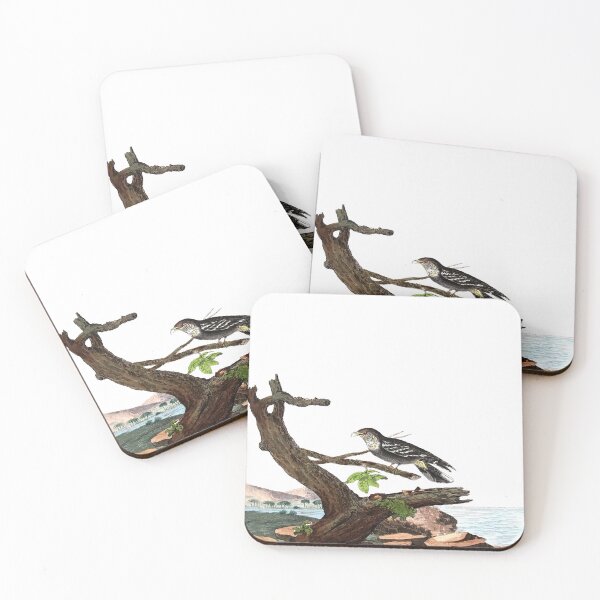 Item preview, Antique Bird Engraving designed and sold by louisxvpod.