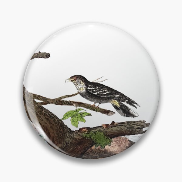 Item preview, Antique Bird Engraving designed and sold by louisxvpod.