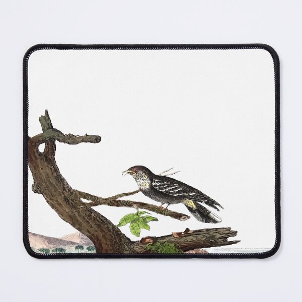 Item preview, Antique Bird Engraving designed and sold by louisxvpod.