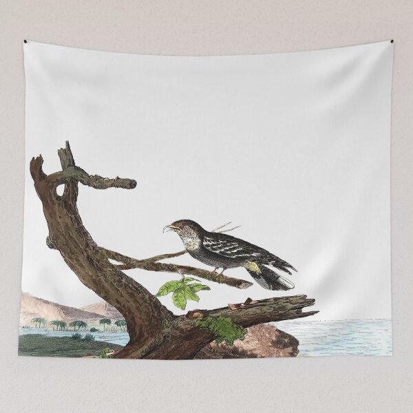 Item preview, Antique Bird Engraving designed and sold by louisxvpod.