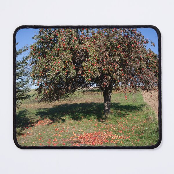 Item preview, Old Tree With Red Apples designed and sold by Mythos57.