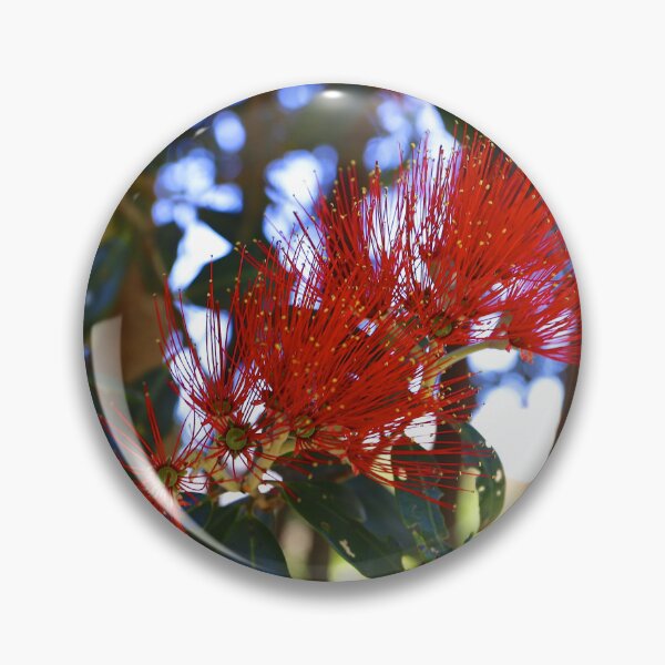 Item preview, Pōhutukawa  - New Zealand Christmas Tree designed and sold by KiwiImages.