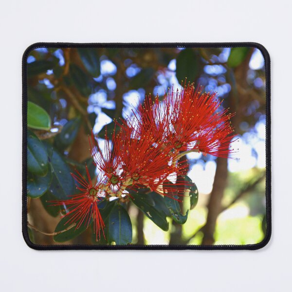 Item preview, Pōhutukawa  - New Zealand Christmas Tree designed and sold by KiwiImages.
