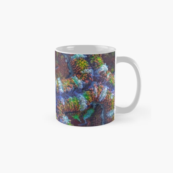 Acanthastrea coral Classic Mug