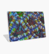 Acanthastrea Koralle Laptop Skin