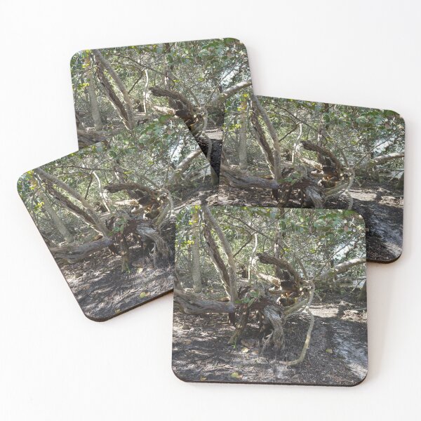 Item preview, Mangrove Trail  designed and sold by Sparkleweather.
