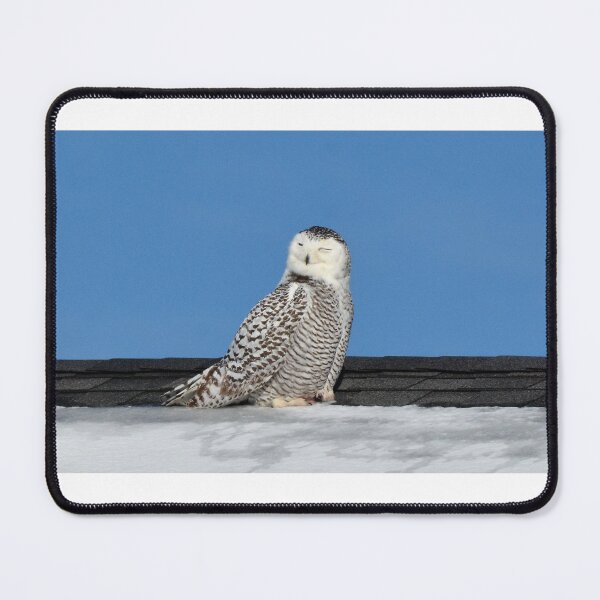 Item preview, snowy looking full of herself designed and sold by telley20.