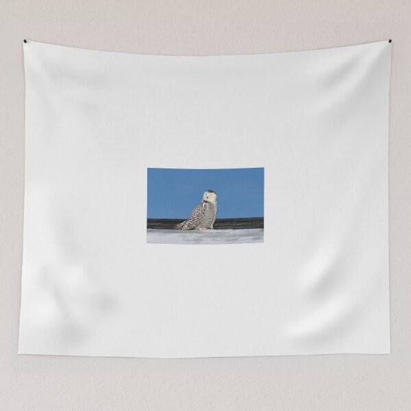 Item preview, snowy looking full of herself designed and sold by telley20.