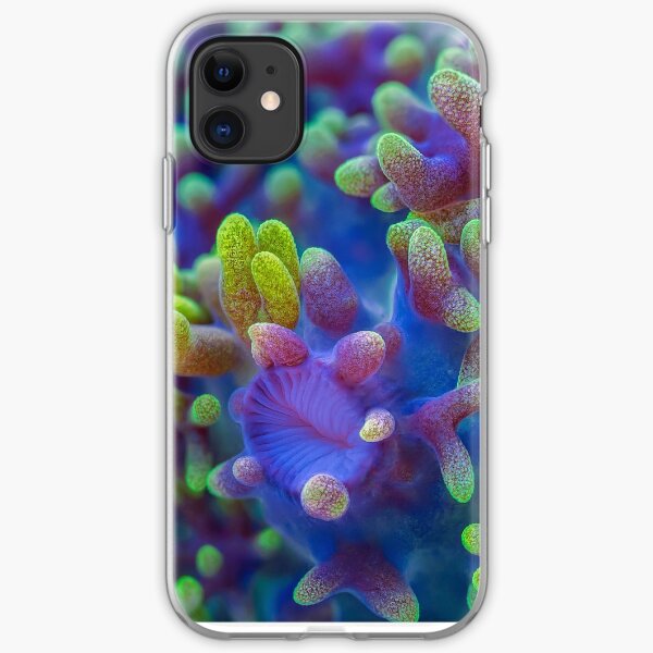 Corallimorph iPhone Soft Case