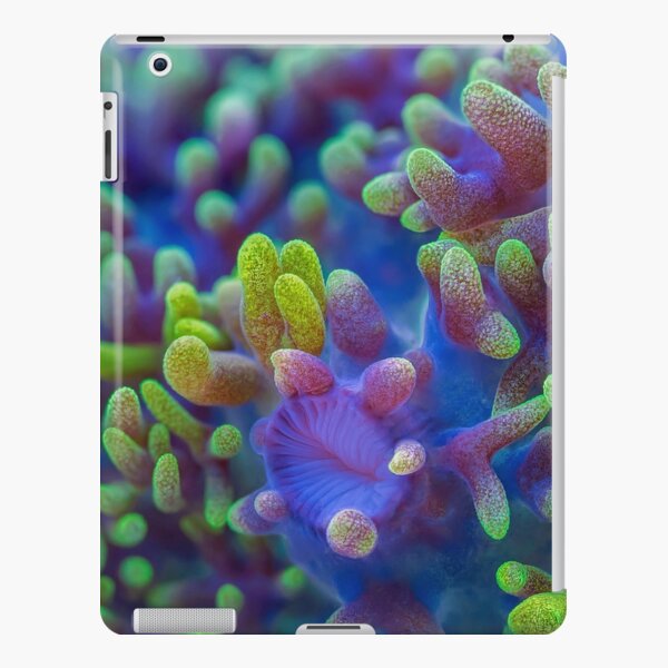 Corallimorph iPad Snap Case