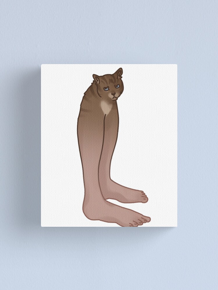 https://ih1.redbubble.net/image.4720115222.7134/fcp%2Csmall%2Cwall_texture%2Cproduct%2C750x1000.u3.jpg