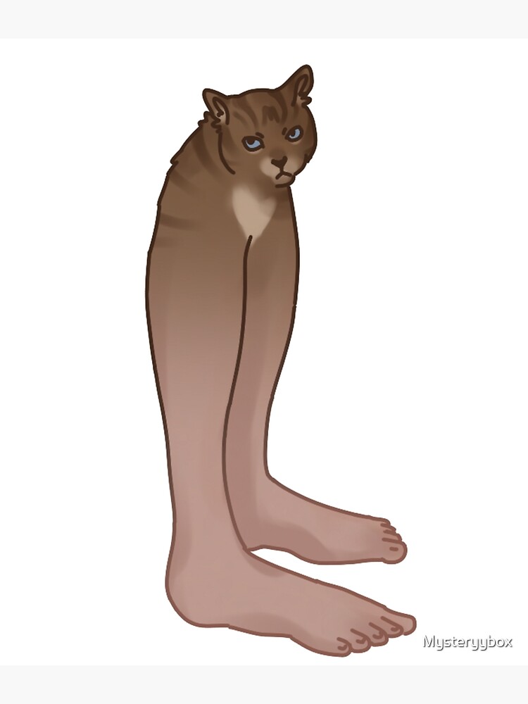 https://ih1.redbubble.net/image.4720115222.7134/flat%2C750x%2C075%2Cf-pad%2C750x1000%2Cf8f8f8.u3.jpg