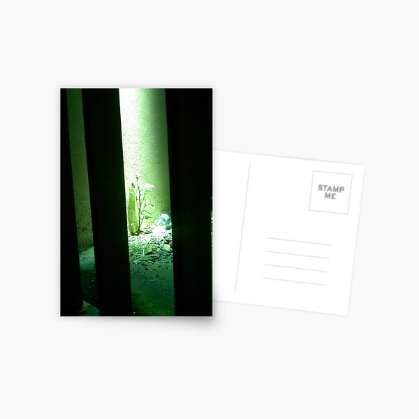 Green Finds a Way Postcard