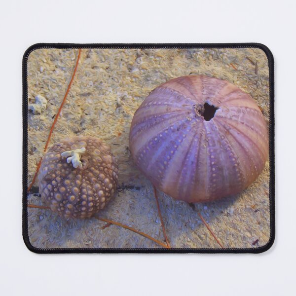 Item preview, Sea Urchin Shells On The Beach designed and sold by Artisnaps.