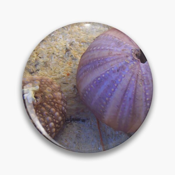 Item preview, Sea Urchin Shells On The Beach designed and sold by Artisnaps.