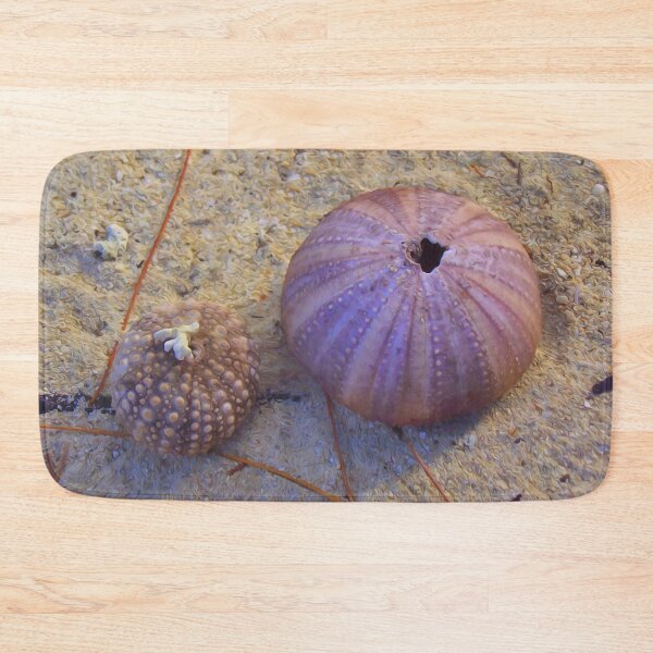 Item preview, Sea Urchin Shells On The Beach designed and sold by Artisnaps.